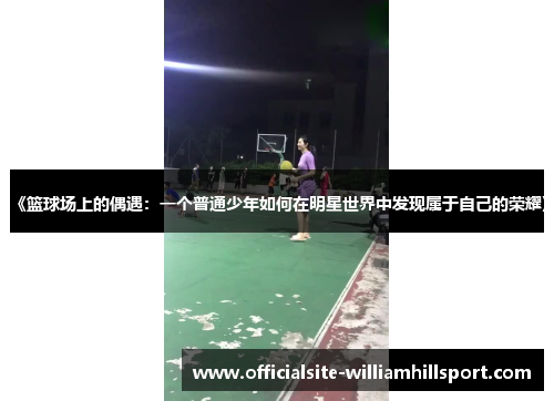 《篮球场上的偶遇：一个普通少年如何在明星世界中发现属于自己的荣耀》