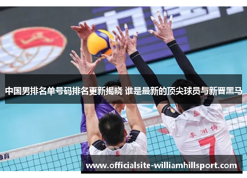 中国男排名单号码排名更新揭晓 谁是最新的顶尖球员与新晋黑马