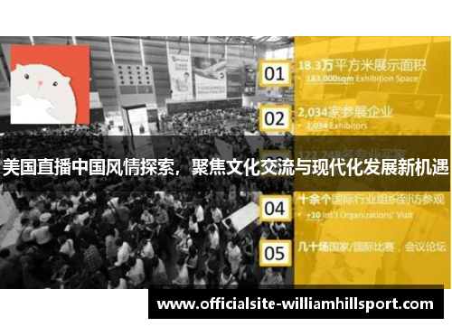 美国直播中国风情探索，聚焦文化交流与现代化发展新机遇