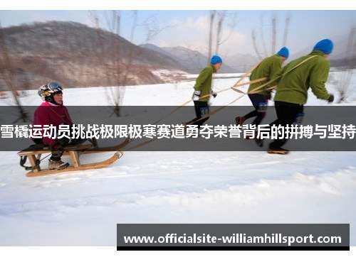 雪橇运动员挑战极限极寒赛道勇夺荣誉背后的拼搏与坚持